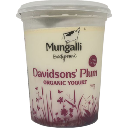 Photo of Mungalli Yoghurt Davidson Plum 500g