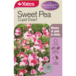 Photo of Seed Sweet Pea Explora Mix C