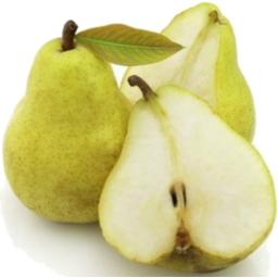 Photo of Pears Belle Du Jumet 