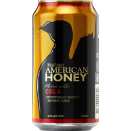 Photo of Wild Turkey American Honey & Cola Can