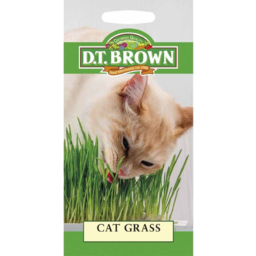 Photo of Dt Brown Seeds Cat Grass