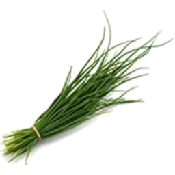 Photo of Butler Herbs Chives