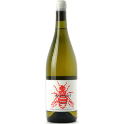 Photo of Bodega Chacra Mainque Chardonnay 2021 750ml