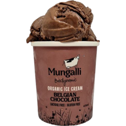 Photo of Mungalli Ice Cream Chocolate 475ml
