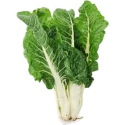 Photo of Silverbeet(Spinach) Bunch