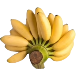 Photo of Bananas Monkey Product Of Australia