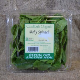 Photo of Organic Spinach Baby Punnet