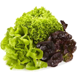 Photo of Fancy Lettuce Mixed