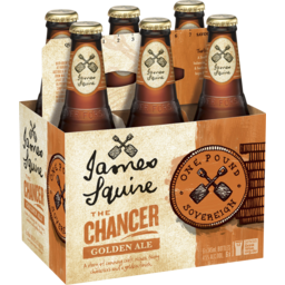 Photo of James Squire The Chancer Golden Ale 6 X 345ml Bottle Basket 6.0x345ml