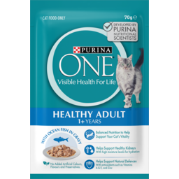 Photo of Purina One Adult With Ocean Fish In Gravy