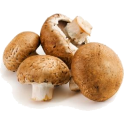 Photo of Mushrooms Swiss Brown Organic Punnet 180g