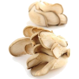 Photo of Mushrooms-Oyster Organic