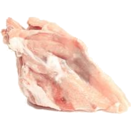 Photo of Chicken Bone