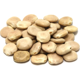 Photo of Rf Lupini Beans