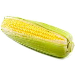 Photo of Corn Organic