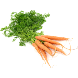 Photo of Carrots Dutch 