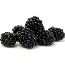 Photo of Blackberry Organic Punnet