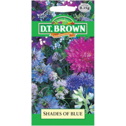Photo of Dt Brown Shades Of Blue