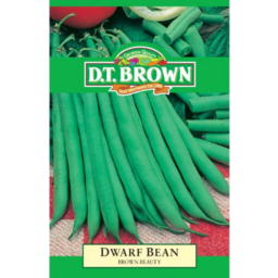 Photo of DT Brown Dwarf Bean Brown Beauty Seeds