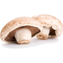 Photo of Mushroom Swiss Flat Box