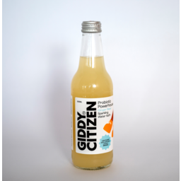Photo of GIDDY CITIZEN Ginger Beer Water Kefir