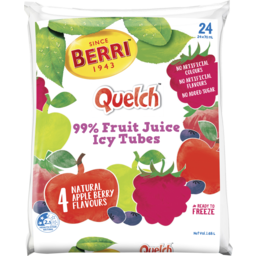 Photo of Berri Quelch 4 Natural Apple Berry 24 X 70ml 24.0x70ml