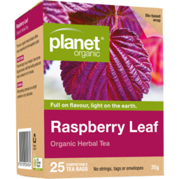Photo of PLANET ORGANIC:PO Raspberry Leaf Herb Tea X25