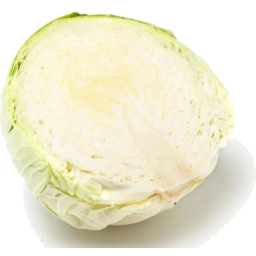 Photo of Plain Cabbage Half