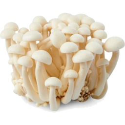 Photo of Mushroom White Shimeji 170gm
