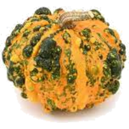Photo of Locally Grown Pimply Squash Kg