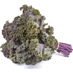 Photo of Red Kale Curly Bunch Organic