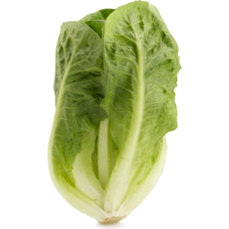 Photo of Lettuce - Cos