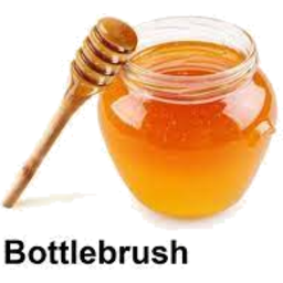 Photo of Mannapak Org Bottlebrush Honey
