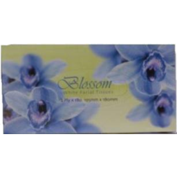 Photo of Blossom Delight Facial Tissues 180pk