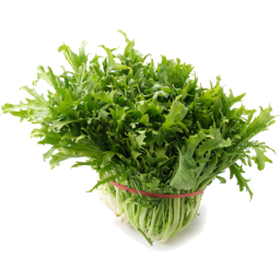 Photo of Lettuce - Endive