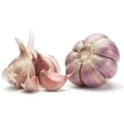 Photo of Garlic Purple