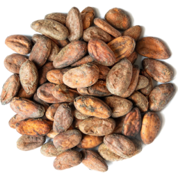 Photo of Hv Cacao Beans Raw