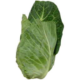 Photo of Cabbage Ea