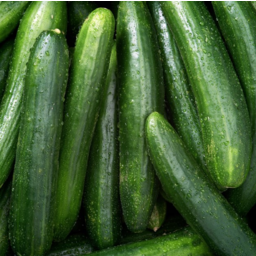 Photo of Cucumber Continental Bag