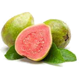 Photo of Guava Each