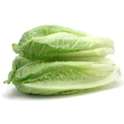 Photo of Baby Cos Lettuce Hearts Bagged