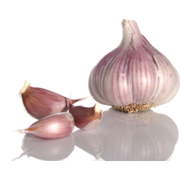 Photo of Garlic Purple Kg