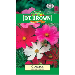 Photo of Dt Brown Seeds Cosmos Sensation