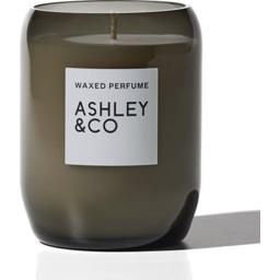Photo of Ashley & Co Parakeets & Pearls Candle