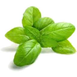Photo of Fresh Herbs Basil 30g