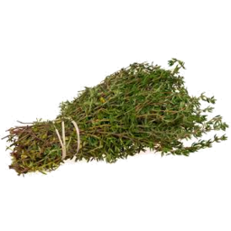 Photo of Thyme Punnet 25g
