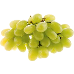 Photo of Grapes White Seedless Per Kg