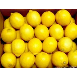 Photo of Lemons 13kg Tray