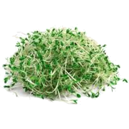 Photo of Broccoli Sprouts 125g