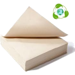 Photo of Eco Earth Napkins 50 Pack